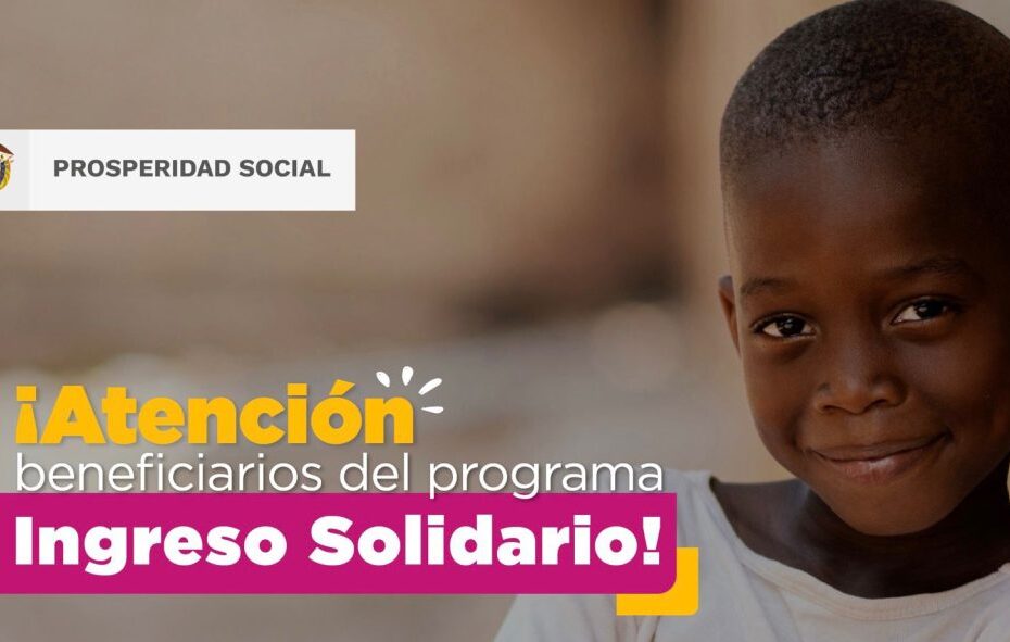 Ingreso Solidario